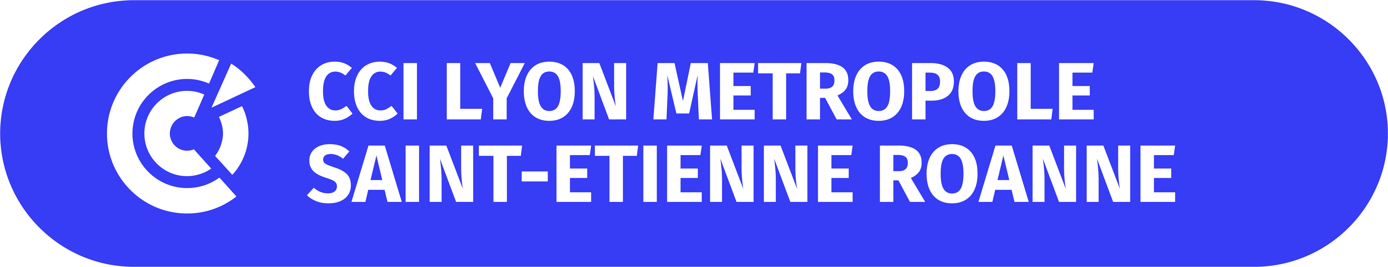 CCI Lyon Saint-Étienne Roanne